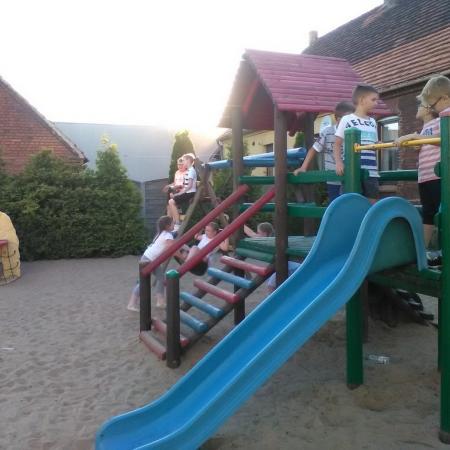 Wyświetl org. rozmiar