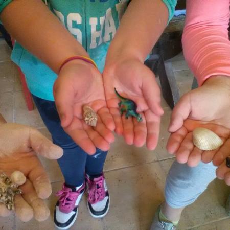 Wyświetl org. rozmiar