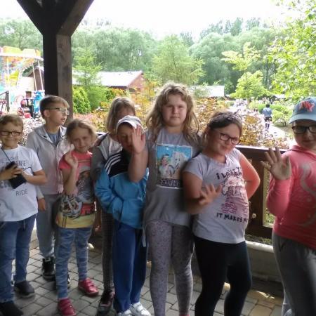 Wyświetl org. rozmiar