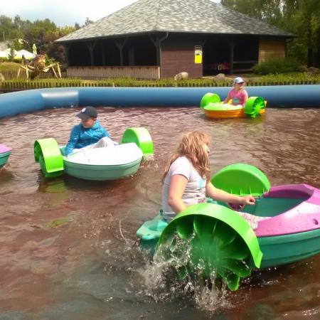 Wyświetl org. rozmiar