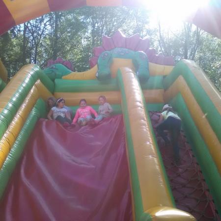 Wyświetl org. rozmiar