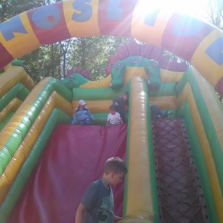 Wyświetl org. rozmiar